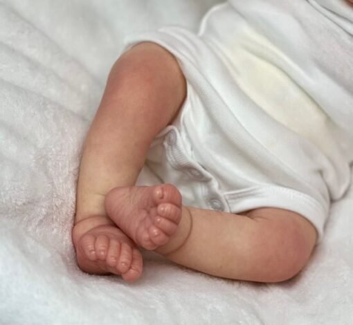 Daphne - Image 13